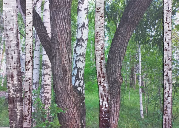 BĒRZI. 50 X 70CM. Digitālā druka, ikata.