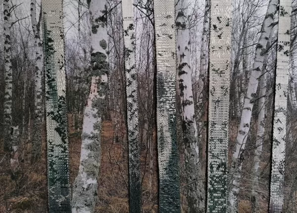 BĒRZI DAUGAVGRĪVAS DABAS LIEGUMĀ. 48 x 68cm. Digitālā druka, ikata, austas jostas. 2021